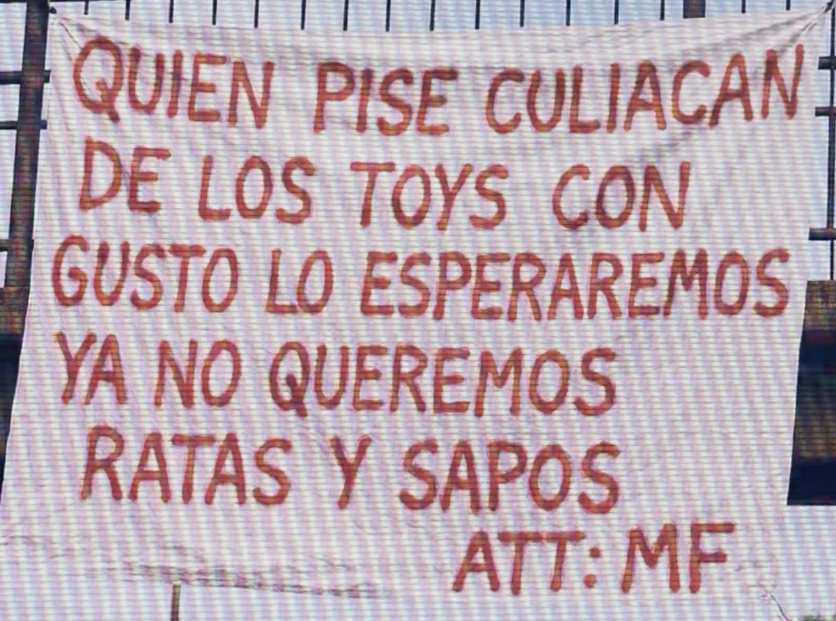 Destierro a Buchones Toys